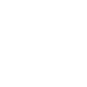 Everything Will Kill You So Choose Something Fun